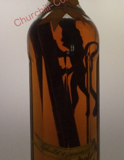 Churchill: Lion in Bottle