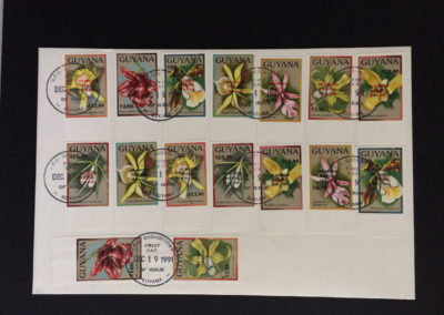 Orchids of Guyana Stamps - Churchill Overprint