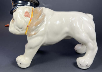 WSC bulldog - side view