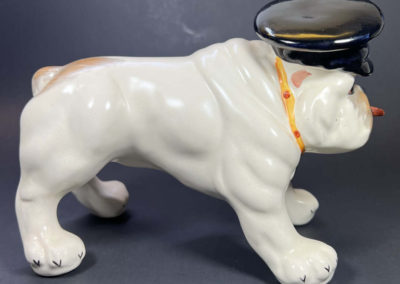 WSC bulldog - side view